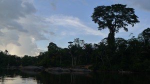 Surinamerivier